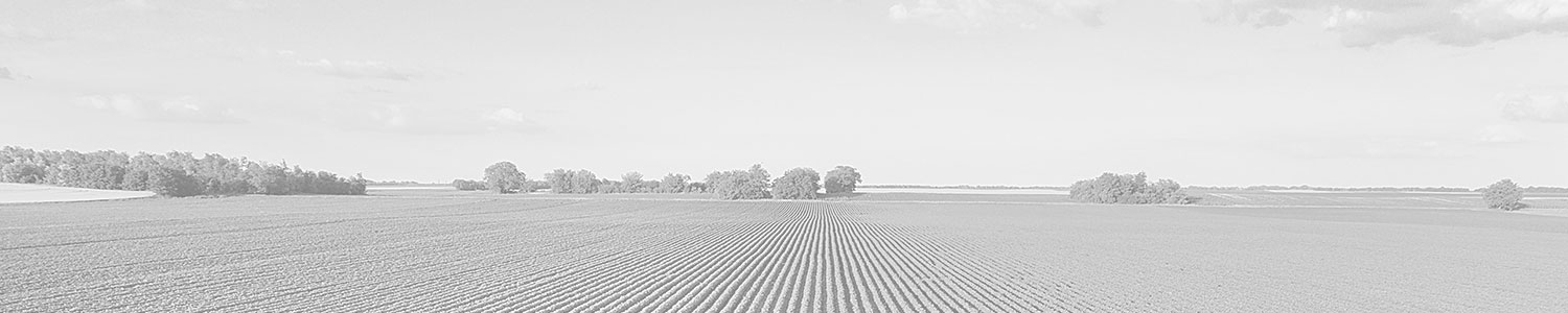 Agricultural field from Oliver source imagery